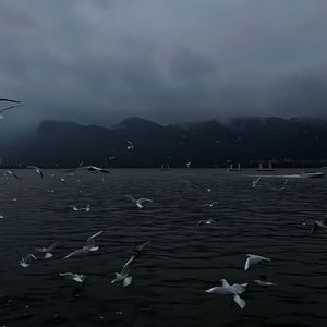 初中女生裸体视频软件网站入口
